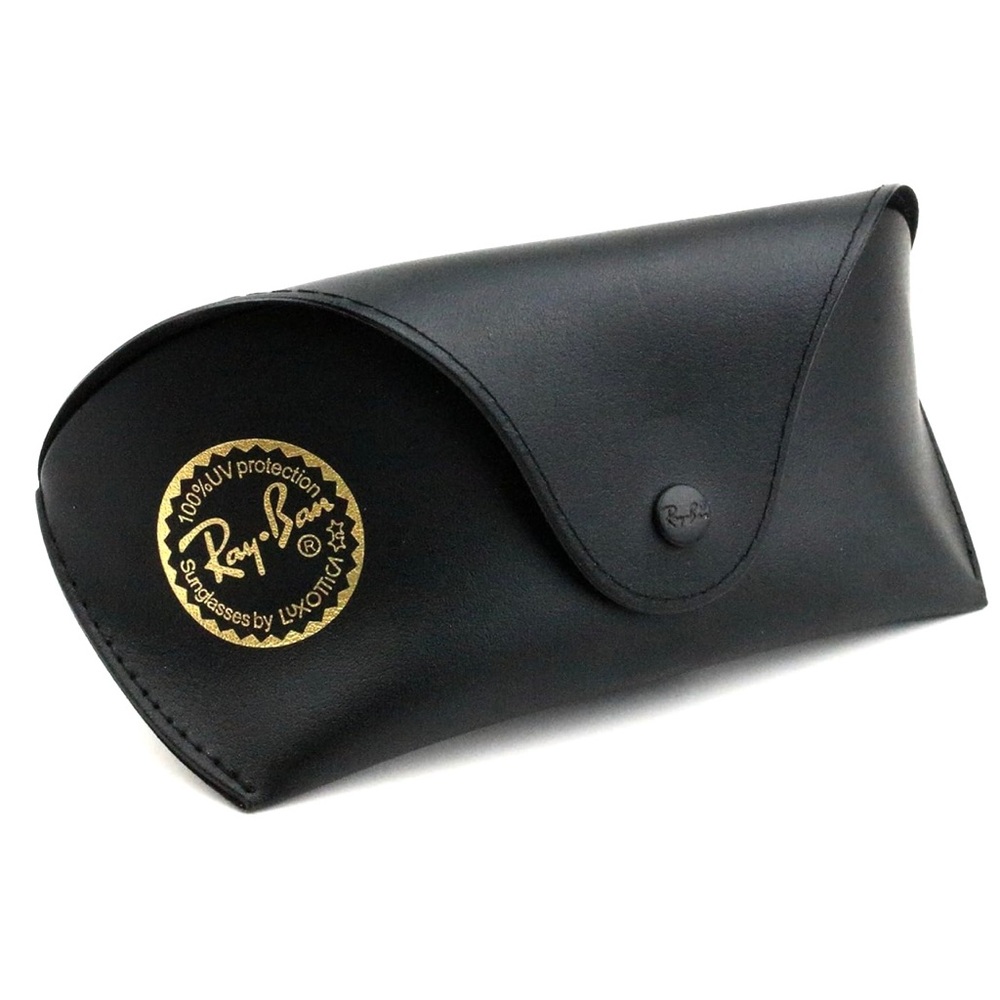 Ray-Ban Leather Grasses Case